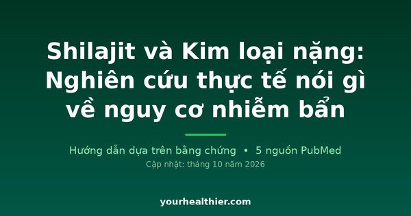 Shilajit và Kim loại nặng: Nghiên cứu thực tế nói gì về nguy cơ nhiễm bẩn