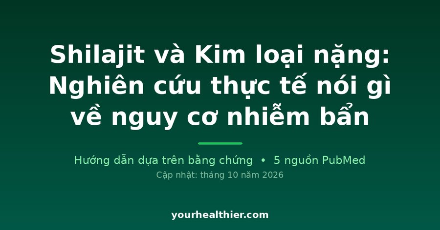 Shilajit và Kim loại nặng: Nghiên cứu thực tế nói gì về nguy cơ nhiễm bẩn