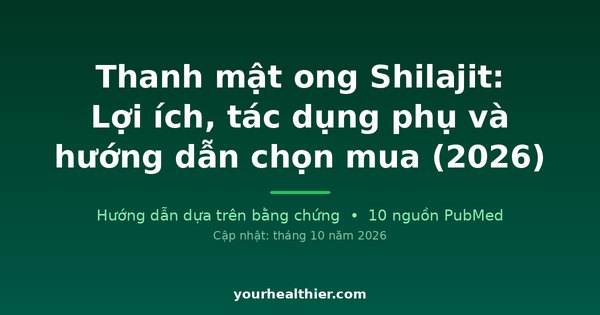 Thanh mật ong Shilajit: Lợi ích, tác dụng phụ và hướng dẫn chọn mua (2026)