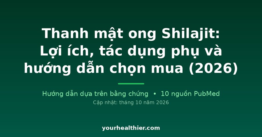Thanh mật ong Shilajit: Lợi ích, tác dụng phụ và hướng dẫn chọn mua (2026)