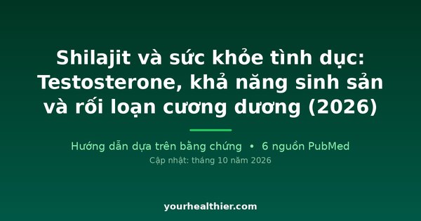 Shilajit và sức khỏe tình dục: Testosterone, khả năng sinh sản và rối loạn cương dương (2026)