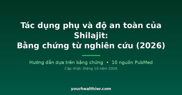 Tác dụng phụ và độ an toàn của Shilajit: Bằng chứng từ nghiên cứu (2026)