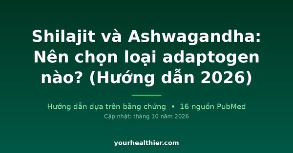 Shilajit và Ashwagandha: Nên chọn loại adaptogen nào? (Hướng dẫn 2026)