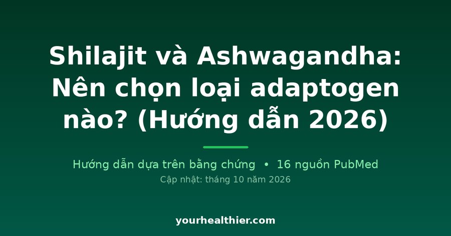 Shilajit và Ashwagandha: Nên chọn loại adaptogen nào? (Hướng dẫn 2026)