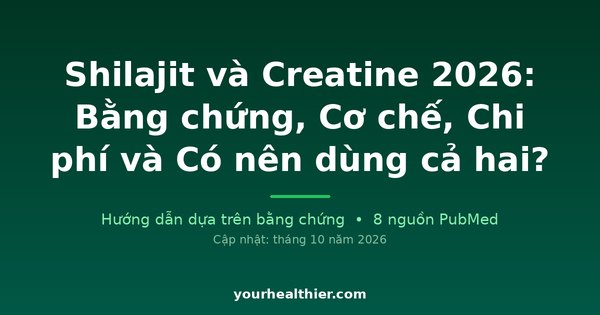 Shilajit và Creatine 2026: Bằng chứng, Cơ chế, Chi phí và Có nên dùng cả hai?