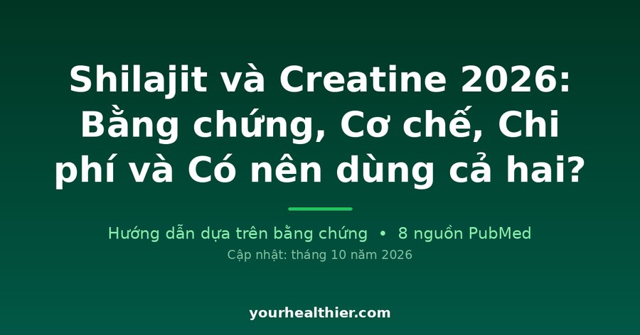 Shilajit và Creatine 2026: Bằng chứng, Cơ chế, Chi phí và Có nên dùng cả hai?