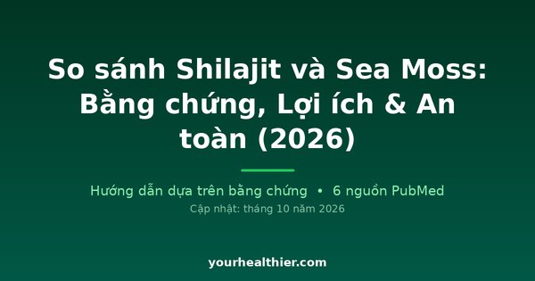 So sánh Shilajit và Sea Moss: Bằng chứng, Lợi ích & An toàn (2026)