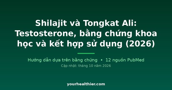 Shilajit và Tongkat Ali: Testosterone, bằng chứng khoa học và kết hợp sử dụng (2026)