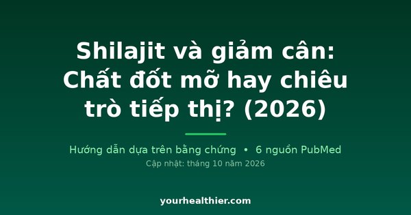 Shilajit và giảm cân: Chất đốt mỡ hay chiêu trò tiếp thị? (2026)