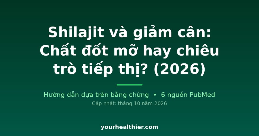 Shilajit và giảm cân: Chất đốt mỡ hay chiêu trò tiếp thị? (2026)