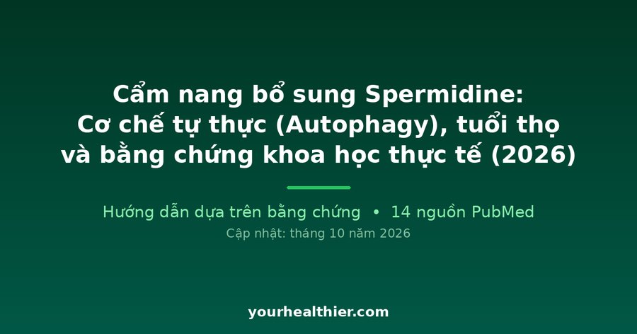 Cẩm nang bổ sung Spermidine: Cơ chế tự thực (Autophagy), tuổi thọ và bằng chứng khoa học thực tế (2026)