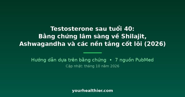Testosterone sau tuổi 40: Bằng chứng lâm sàng về Shilajit, Ashwagandha và các nền tảng cốt lõi (2026)