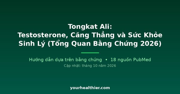Tongkat Ali: Testosterone, Căng Thẳng và Sức Khỏe Sinh Lý (Tổng Quan Bằng Chứng 2026)