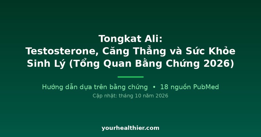 Tongkat Ali: Testosterone, Căng Thẳng và Sức Khỏe Sinh Lý (Tổng Quan Bằng Chứng 2026)