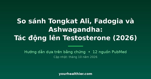 So sánh Tongkat Ali, Fadogia và Ashwagandha: Tác động lên Testosterone (2026)