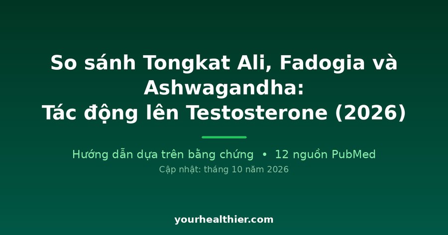 So sánh Tongkat Ali, Fadogia và Ashwagandha: Tác động lên Testosterone (2026)