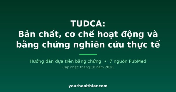 TUDCA: Bản chất, cơ chế hoạt động và bằng chứng nghiên cứu thực tế