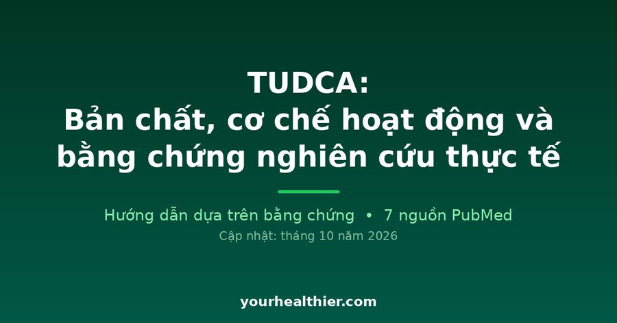 TUDCA: Bản chất, cơ chế hoạt động và bằng chứng nghiên cứu thực tế