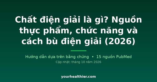 Chất điện giải là gì? Nguồn thực phẩm, chức năng và cách bù điện giải (2026)