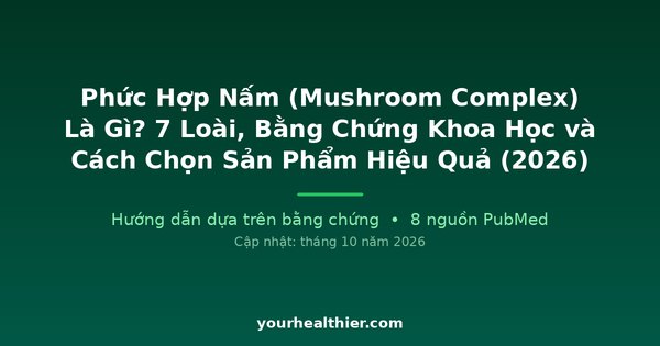 Phức Hợp Nấm (Mushroom Complex) Là Gì? 7 Loài, Bằng Chứng Khoa Học và Cách Chọn Sản Phẩm Hiệu Quả (2026)