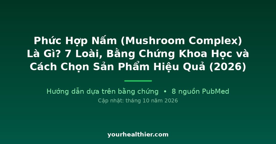 Phức Hợp Nấm (Mushroom Complex) Là Gì? 7 Loài, Bằng Chứng Khoa Học và Cách Chọn Sản Phẩm Hiệu Quả (2026)