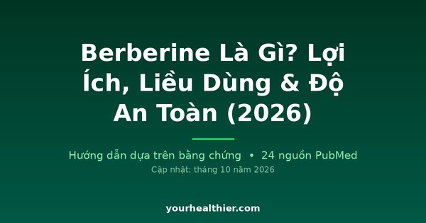 Berberine Là Gì? Lợi Ích, Liều Dùng & Độ An Toàn (2026)