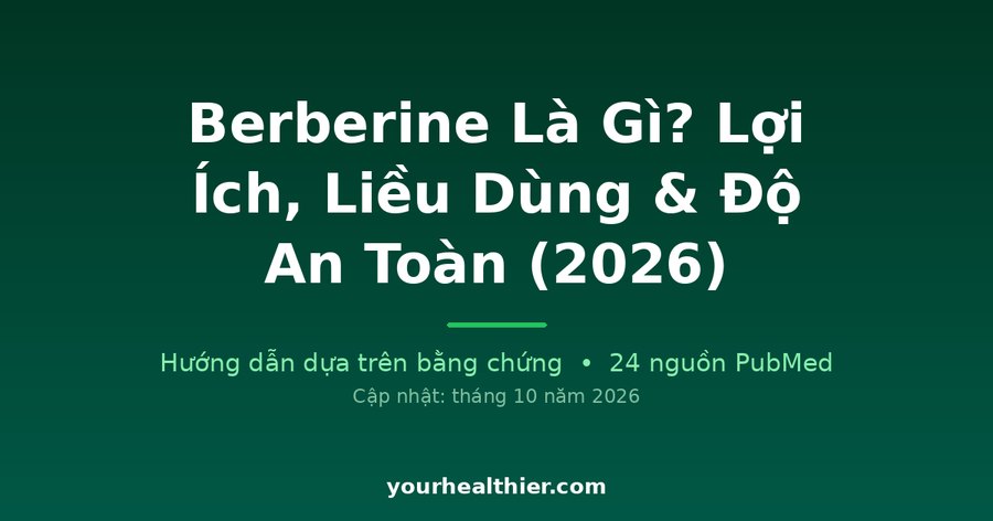 Berberine Là Gì? Lợi Ích, Liều Dùng & Độ An Toàn (2026)
