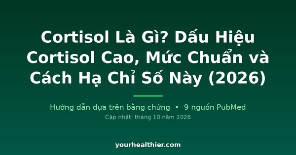 Cortisol Là Gì? Dấu Hiệu Cortisol Cao, Mức Chuẩn và Cách Hạ Chỉ Số Này (2026)