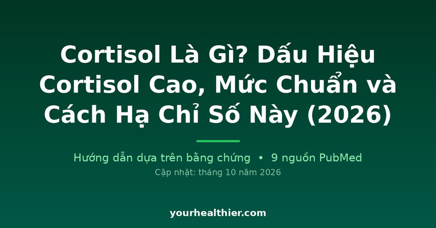 Cortisol Là Gì? Dấu Hiệu Cortisol Cao, Mức Chuẩn và Cách Hạ Chỉ Số Này (2026)