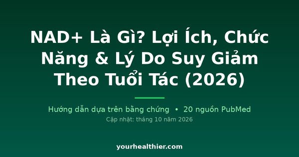 NAD+ Là Gì? Lợi Ích, Chức Năng & Lý Do Suy Giảm Theo Tuổi Tác (2026)