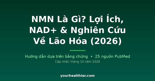 NMN Là Gì? Lợi Ích, NAD+ & Nghiên Cứu Về Lão Hóa (2026)