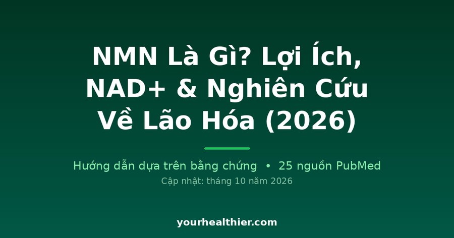 NMN Là Gì? Lợi Ích, NAD+ & Nghiên Cứu Về Lão Hóa (2026)