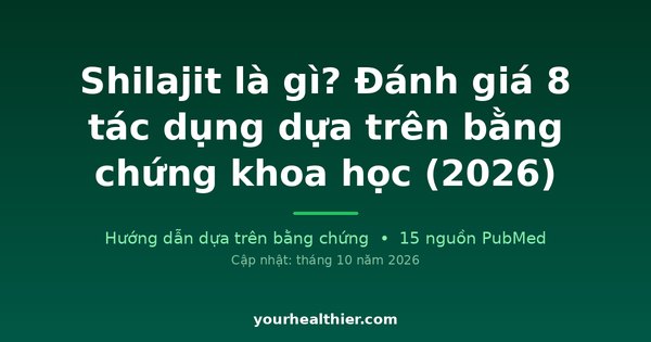 Shilajit là gì? Đánh giá 8 tác dụng dựa trên bằng chứng khoa học (2026)