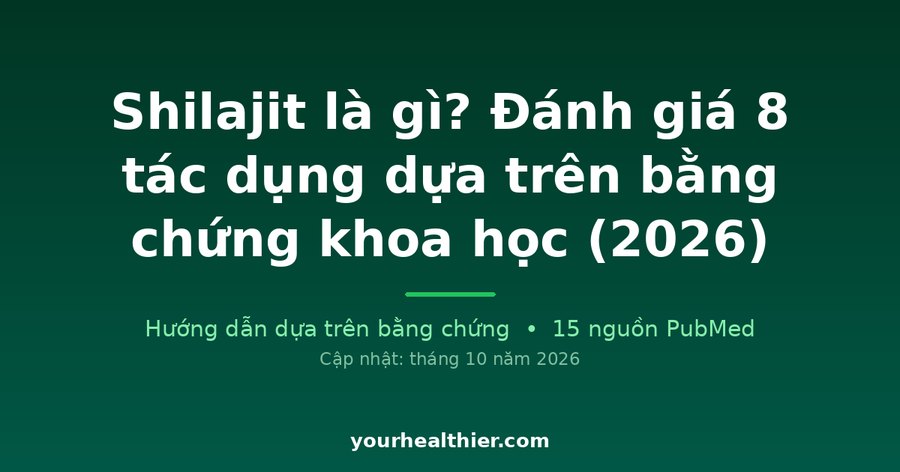 Shilajit là gì? Đánh giá 8 tác dụng dựa trên bằng chứng khoa học (2026)