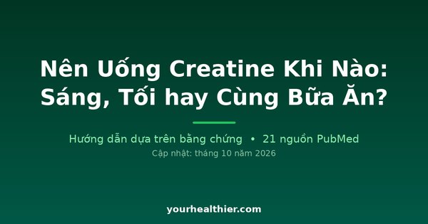 Nên Uống Creatine Khi Nào: Sáng, Tối hay Cùng Bữa Ăn?