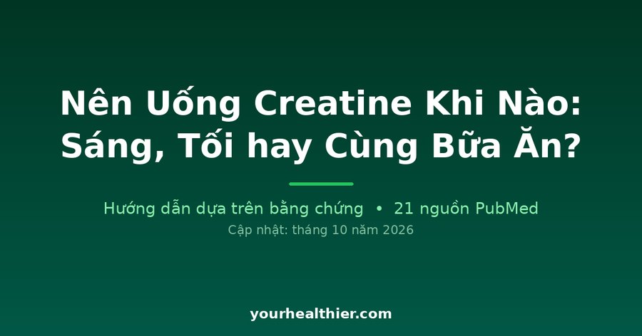 Nên Uống Creatine Khi Nào: Sáng, Tối hay Cùng Bữa Ăn?